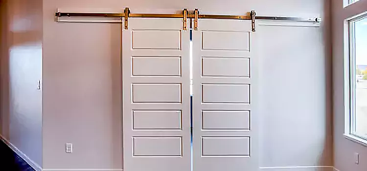 Glass Barn Door with Installation Hardware Kit Johns Creek
